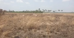 3 Acrea & 2 Lots near RIA. #113