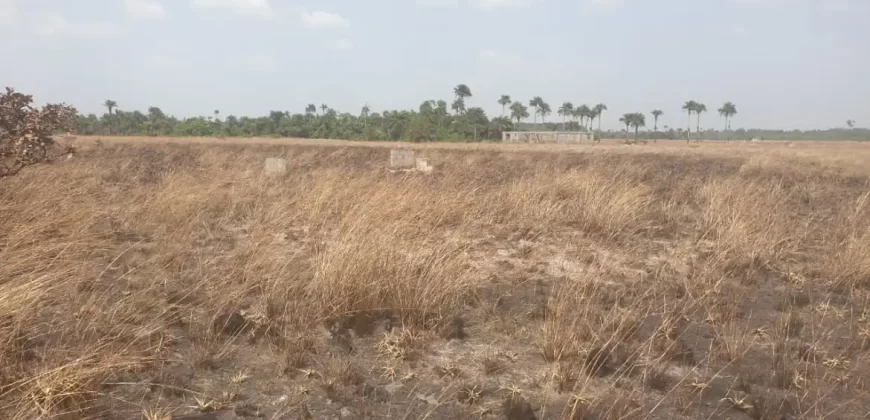 3 Acrea & 2 Lots near RIA. #113