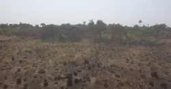 3 Acrea & 2 Lots near RIA. #113