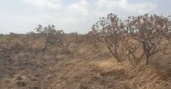 3 Acrea & 2 Lots near RIA. #113