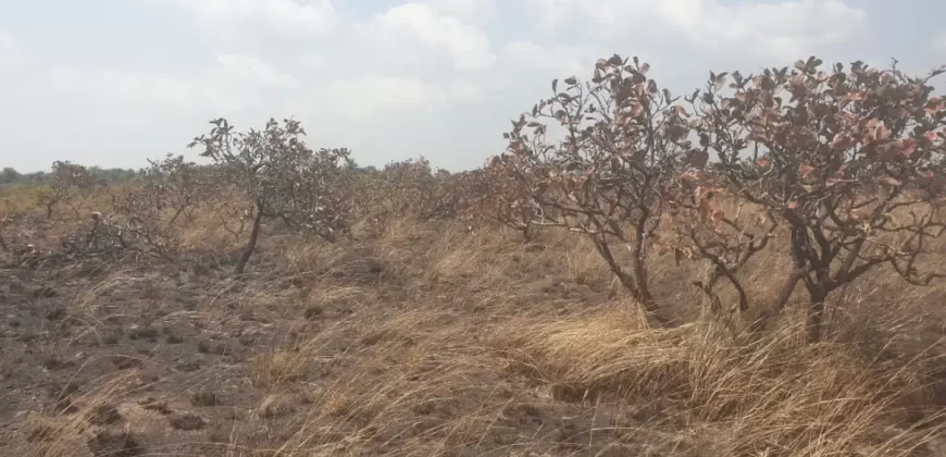 3 Acrea & 2 Lots near RIA. #113