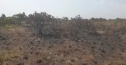 3 Acrea & 2 Lots near RIA. #113