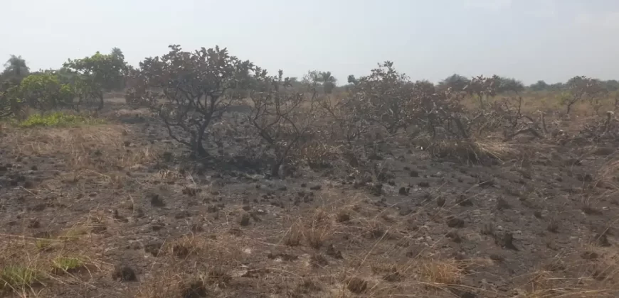 3 Acrea & 2 Lots near RIA. #113