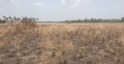 3 Acrea & 2 Lots near RIA. #113