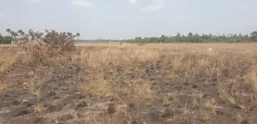 3 Acrea & 2 Lots near RIA. #113