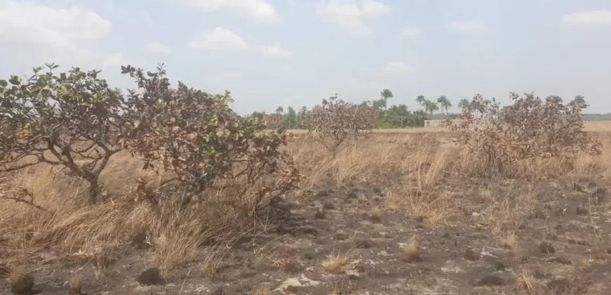 3 Acrea & 2 Lots near RIA. #113