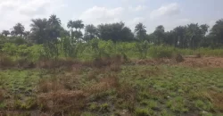 2 Lots for Sale #112