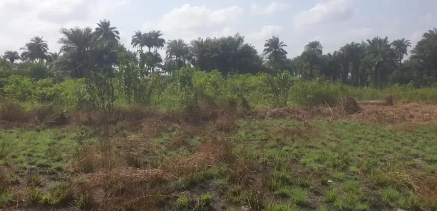 2 Lots for Sale #112