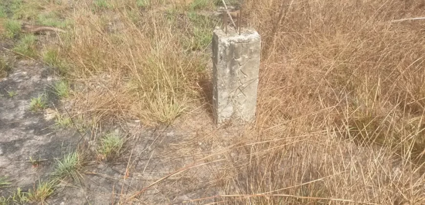 2 Lots for Sale #112