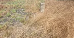 2 Lots for Sale #112