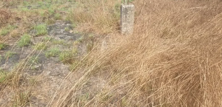 2 Lots for Sale #112