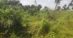 2 Lots for Sale #112