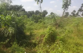 2 Lots for Sale #112