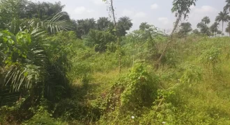 2 Lots for Sale #112