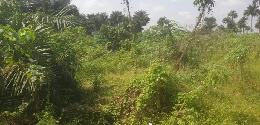 2 Lots for Sale #112