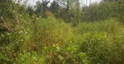 2 Lots for Sale #112