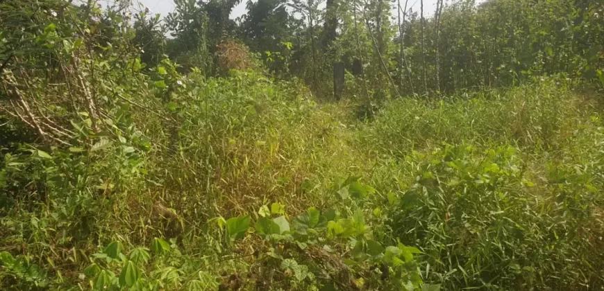 2 Lots for Sale #112