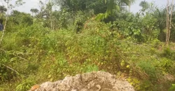 2 Lots for Sale #112