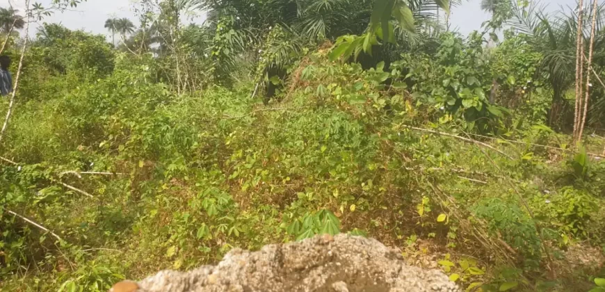 2 Lots for Sale #112