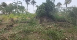 2 Lots for Sale #112