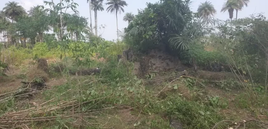 2 Lots for Sale #112