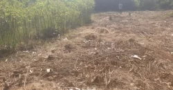 2 Lots for Sale #112