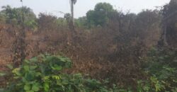 Land in Charlesville, Margibi County. #114