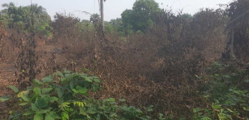 Land in Charlesville, Margibi County. #114