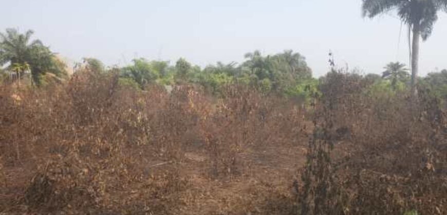 Land in Charlesville, Margibi County. #114