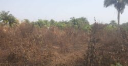 Land in Charlesville, Margibi County. #114