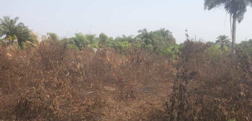 Land in Charlesville, Margibi County. #114