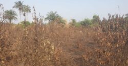 Land in Charlesville, Margibi County. #114