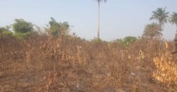 Land in Charlesville, Margibi County. #114