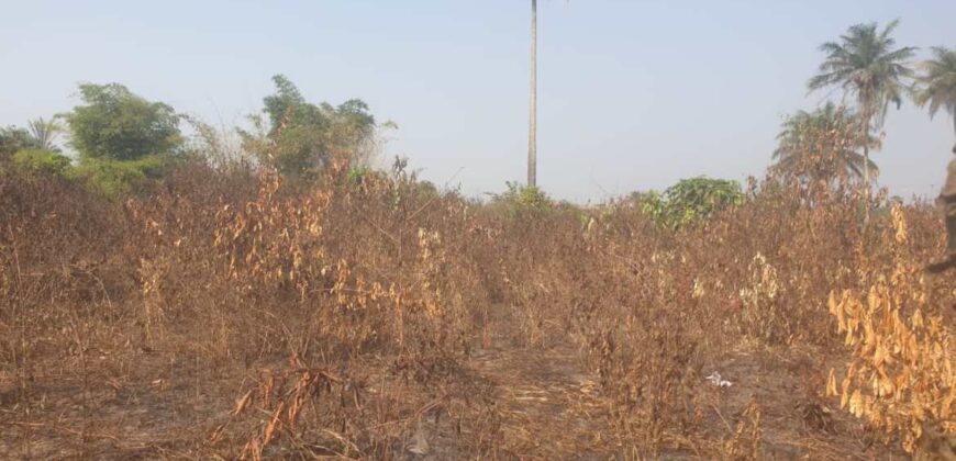 Land in Charlesville, Margibi County. #114