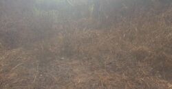 Land in Charlesville, Margibi County. #114