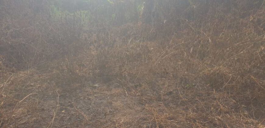 Land in Charlesville, Margibi County. #114