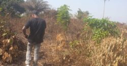 Land in Charlesville, Margibi County. #114