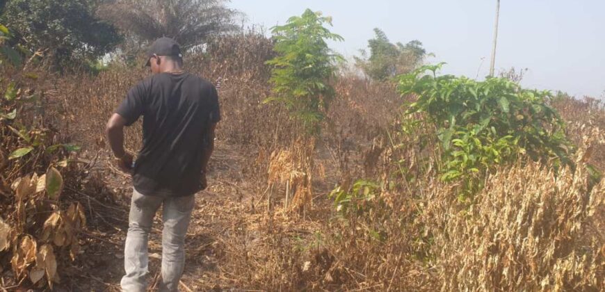 Land in Charlesville, Margibi County. #114