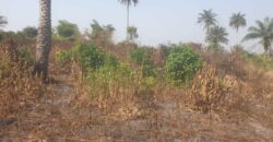 Land in Charlesville, Margibi County. #114