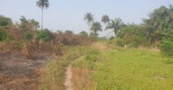 Land in Charlesville, Margibi County. #114