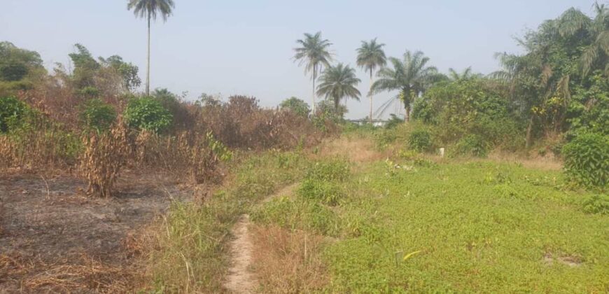 Land in Charlesville, Margibi County. #114