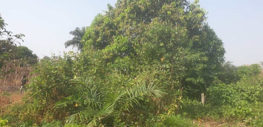 Land in Charlesville, Margibi County. #114