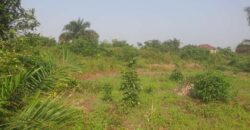 Land in Charlesville, Margibi County. #114