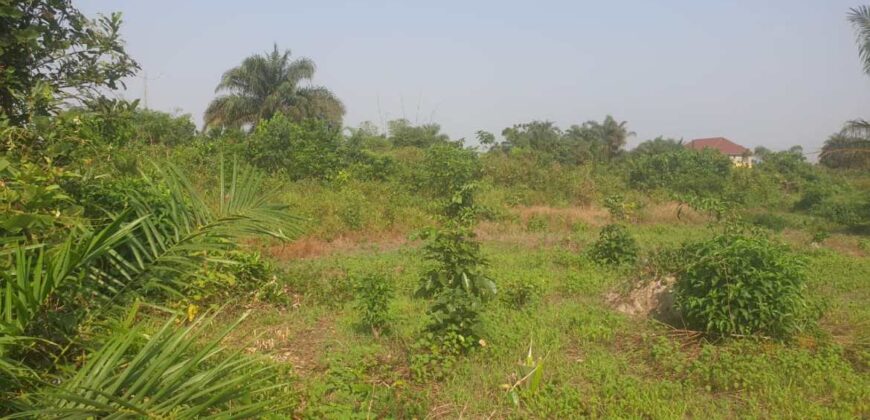 Land in Charlesville, Margibi County. #114