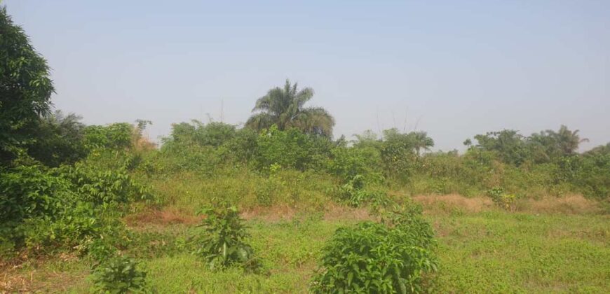 Land in Charlesville, Margibi County. #114