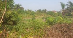 Land in Charlesville, Margibi County. #114