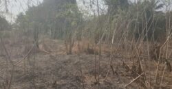 Land in Charlesville, Margibi County. #114