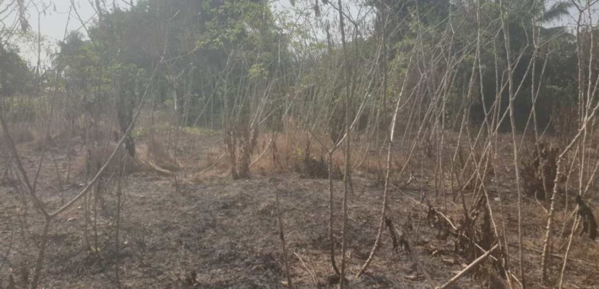 Land in Charlesville, Margibi County. #114