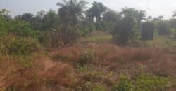 Land in Charlesville, Margibi County. #114