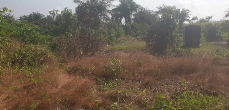 Land in Charlesville, Margibi County. #114